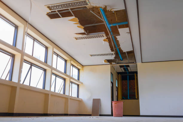Best Commercial water damage restoration  in Kayenta, AZ