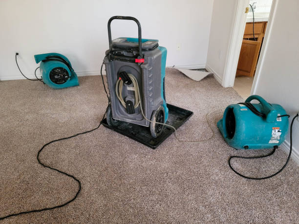 Best Flood restoration services  in Kayenta, AZ