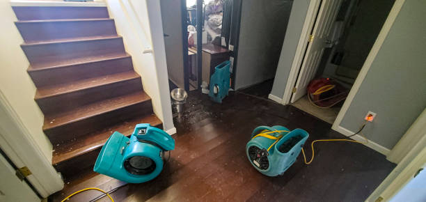 Best Water damage contractors near me  in Kayenta, AZ