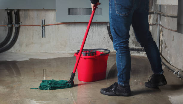 Best Ceiling water damage repair  in Kayenta, AZ