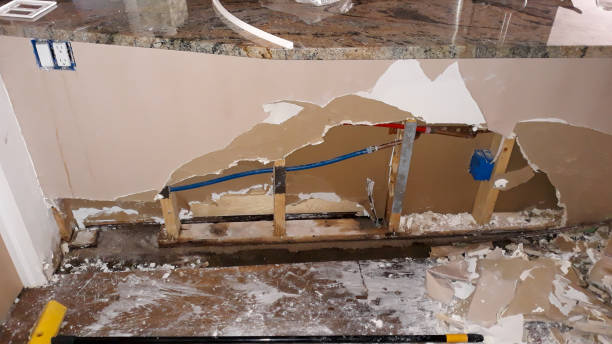 Best Professional water damage repair  in Kayenta, AZ