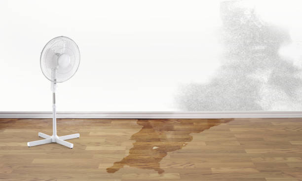 , AZ Water damage restoration Company