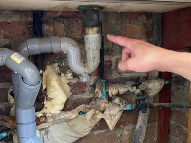 Best Carpet water damage restoration  in Kayenta, AZ