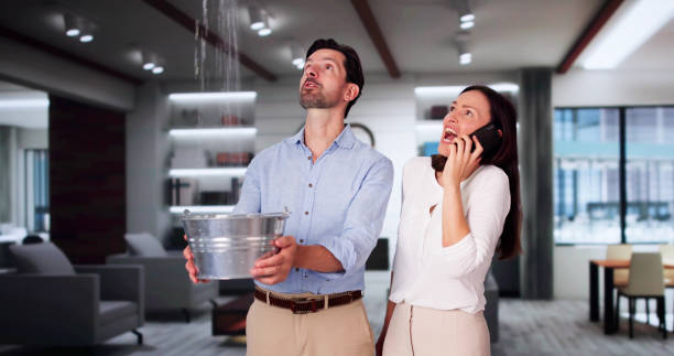 Best Flood restoration services  in Kayenta, AZ